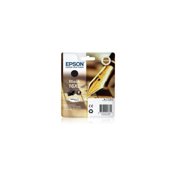 PENNA  E CRUCIVERBA  XL C13T16314012