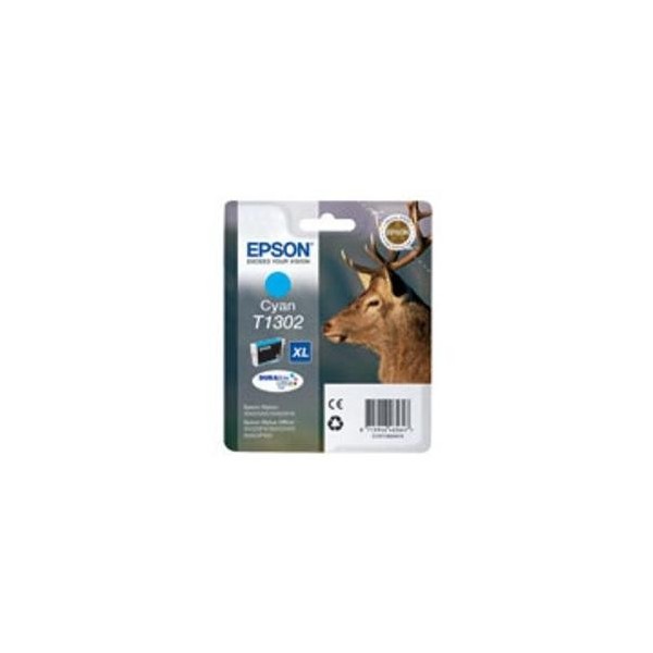 CERVO C13T13024012