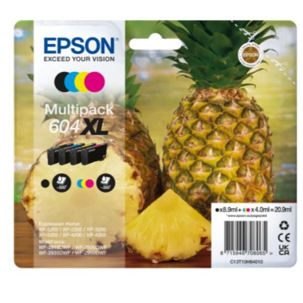 CARTUCCE INK ANANAS 4-COL 604XL C13T10H64020