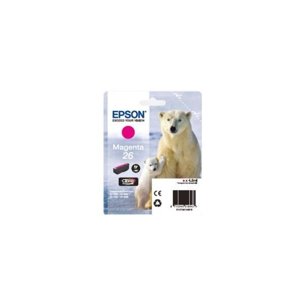 ORSO POLARE C13T26134022