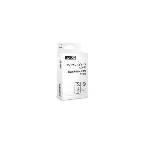 WF-100W Caja C13T295000